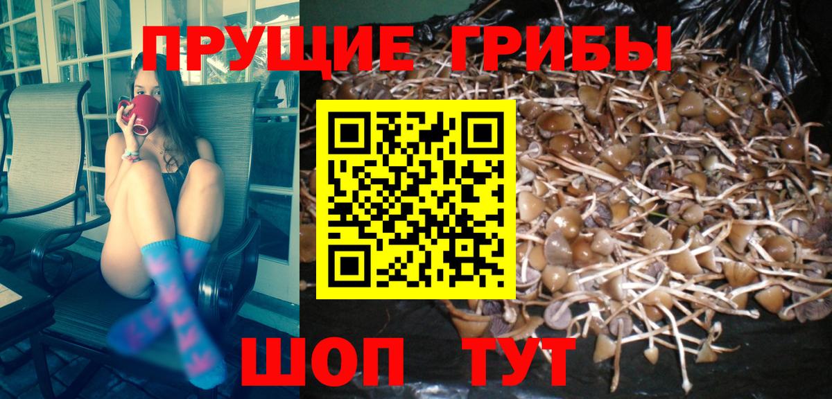 Галлюциногенные грибы мицелий Шелехов